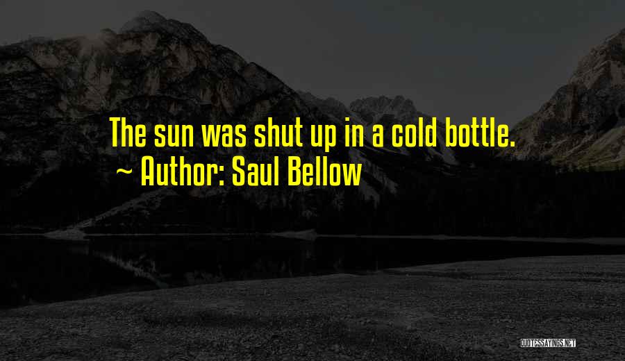 Saul Bellow Quotes: The Sun Was Shut Up In A Cold Bottle.