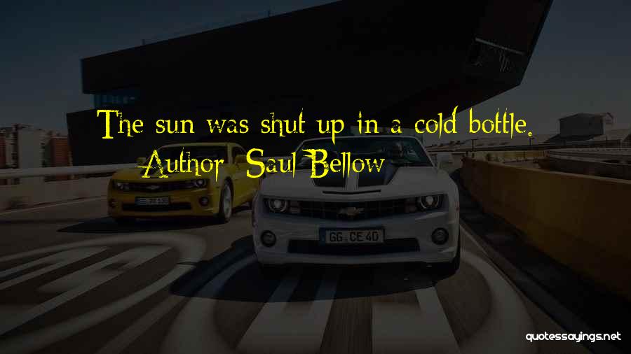 Saul Bellow Quotes: The Sun Was Shut Up In A Cold Bottle.