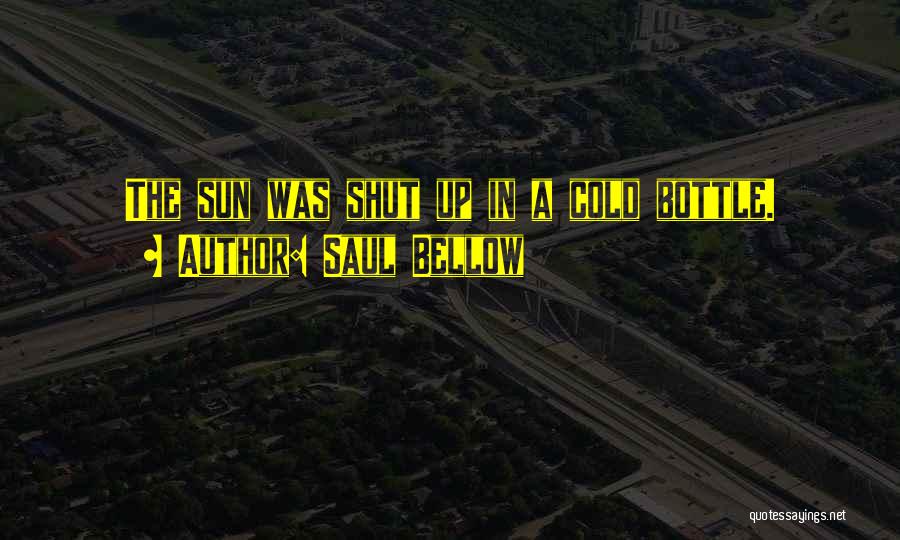Saul Bellow Quotes: The Sun Was Shut Up In A Cold Bottle.