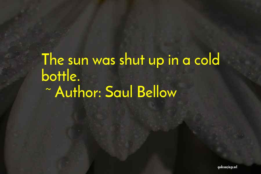 Saul Bellow Quotes: The Sun Was Shut Up In A Cold Bottle.