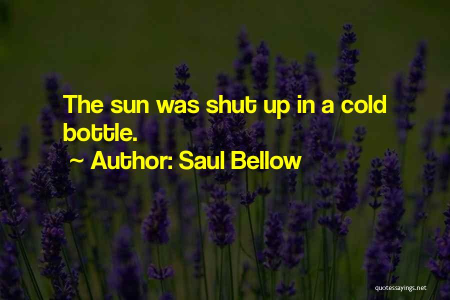 Saul Bellow Quotes: The Sun Was Shut Up In A Cold Bottle.