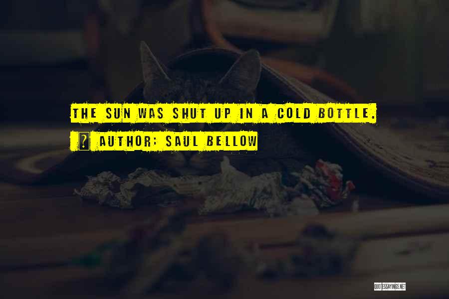 Saul Bellow Quotes: The Sun Was Shut Up In A Cold Bottle.