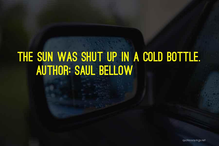 Saul Bellow Quotes: The Sun Was Shut Up In A Cold Bottle.
