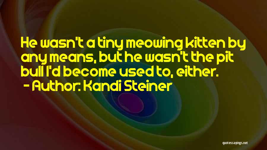 Kandi Steiner Quotes: He Wasn't A Tiny Meowing Kitten By Any Means, But He Wasn't The Pit Bull I'd Become Used To, Either.
