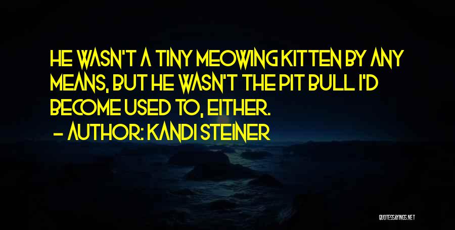 Kandi Steiner Quotes: He Wasn't A Tiny Meowing Kitten By Any Means, But He Wasn't The Pit Bull I'd Become Used To, Either.