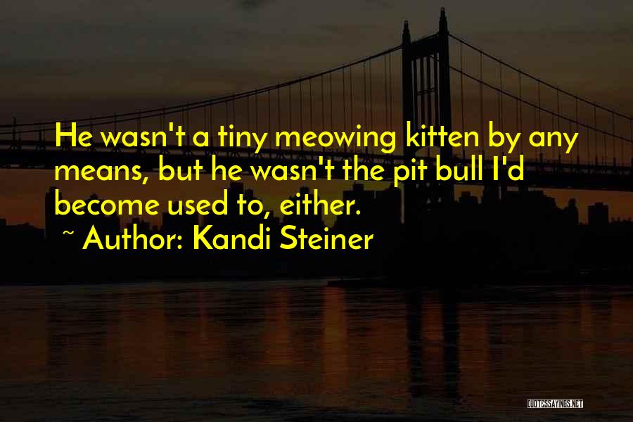 Kandi Steiner Quotes: He Wasn't A Tiny Meowing Kitten By Any Means, But He Wasn't The Pit Bull I'd Become Used To, Either.