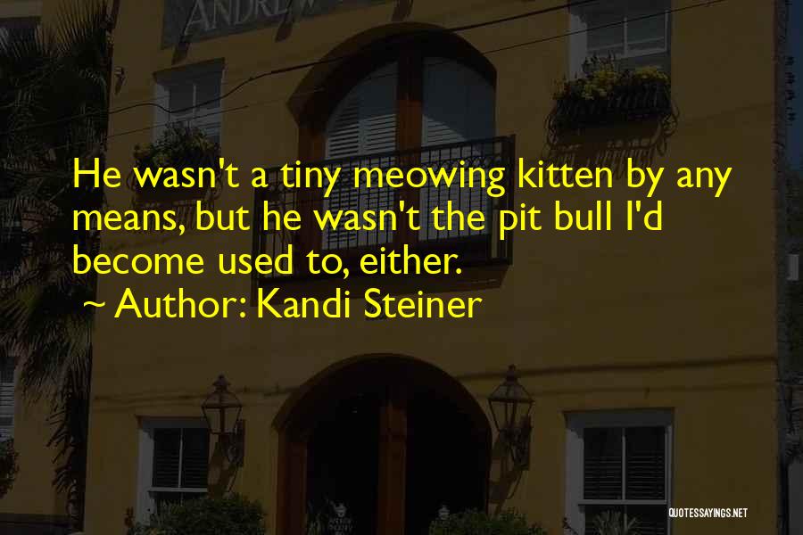 Kandi Steiner Quotes: He Wasn't A Tiny Meowing Kitten By Any Means, But He Wasn't The Pit Bull I'd Become Used To, Either.