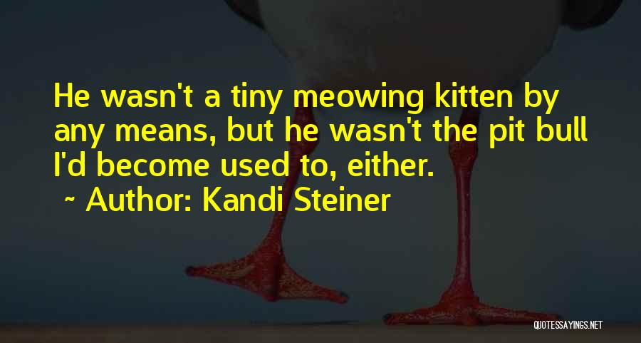 Kandi Steiner Quotes: He Wasn't A Tiny Meowing Kitten By Any Means, But He Wasn't The Pit Bull I'd Become Used To, Either.