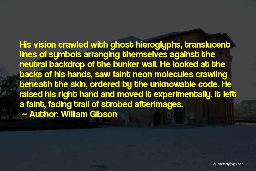 William Gibson Quotes: His Vision Crawled With Ghost Hieroglyphs, Translucent Lines Of Symbols Arranging Themselves Against The Neutral Backdrop Of The Bunker Wall.