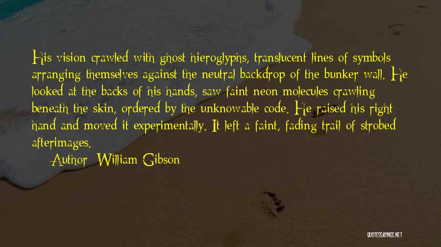 William Gibson Quotes: His Vision Crawled With Ghost Hieroglyphs, Translucent Lines Of Symbols Arranging Themselves Against The Neutral Backdrop Of The Bunker Wall.