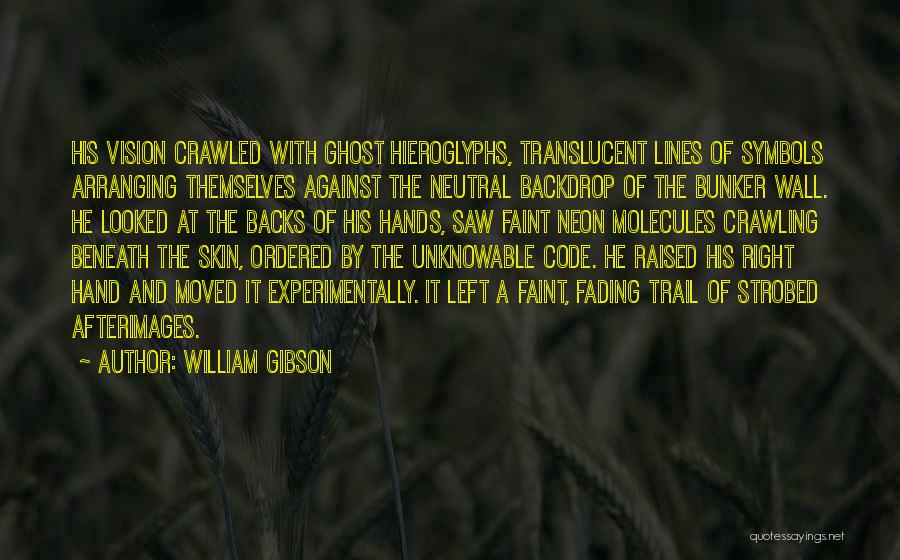 William Gibson Quotes: His Vision Crawled With Ghost Hieroglyphs, Translucent Lines Of Symbols Arranging Themselves Against The Neutral Backdrop Of The Bunker Wall.