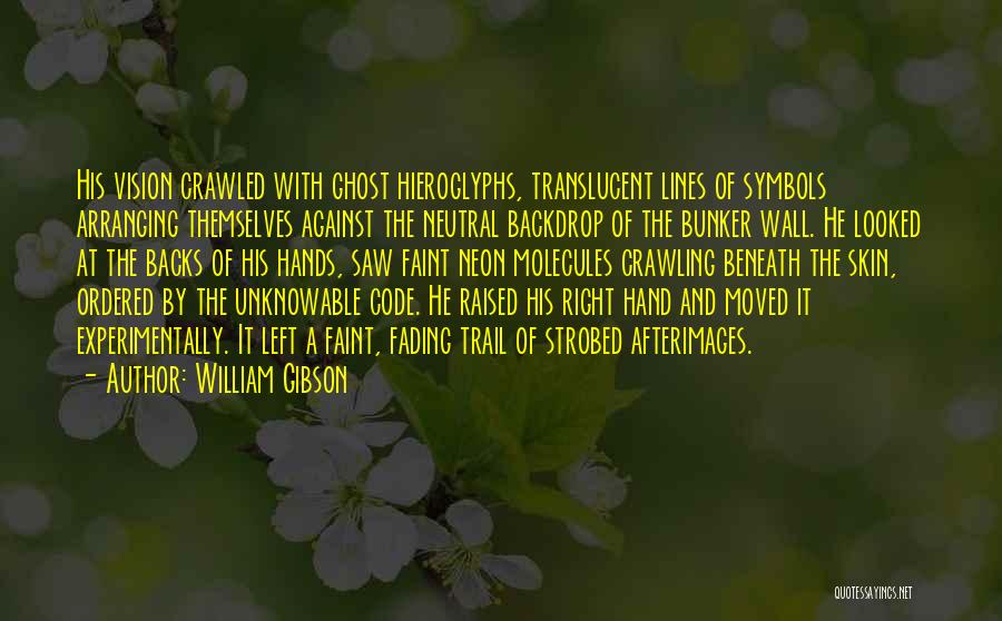 William Gibson Quotes: His Vision Crawled With Ghost Hieroglyphs, Translucent Lines Of Symbols Arranging Themselves Against The Neutral Backdrop Of The Bunker Wall.