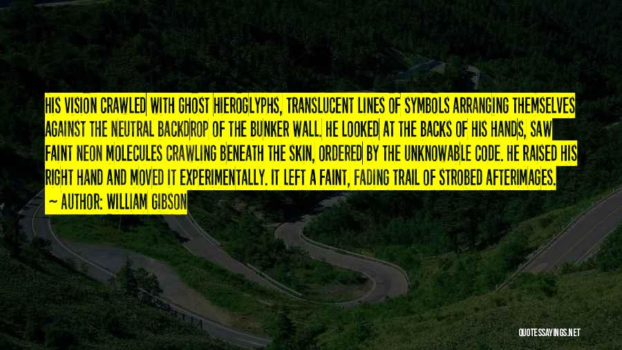 William Gibson Quotes: His Vision Crawled With Ghost Hieroglyphs, Translucent Lines Of Symbols Arranging Themselves Against The Neutral Backdrop Of The Bunker Wall.