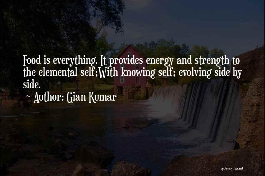 Gian Kumar Quotes: Food Is Everything. It Provides Energy And Strength To The Elemental Self;with Knowing Self; Evolving Side By Side.