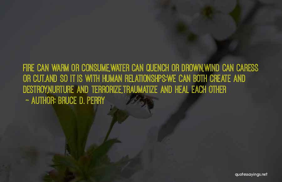 Bruce D. Perry Quotes: Fire Can Warm Or Consume,water Can Quench Or Drown,wind Can Caress Or Cut.and So It Is With Human Relationshps;we Can