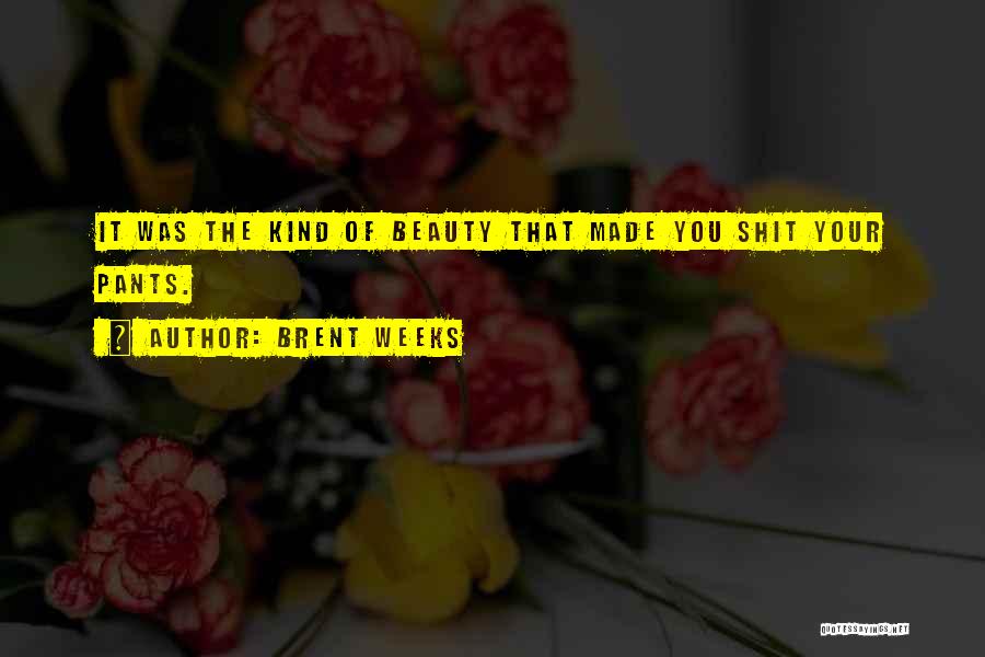 Brent Weeks Quotes: It Was The Kind Of Beauty That Made You Shit Your Pants.