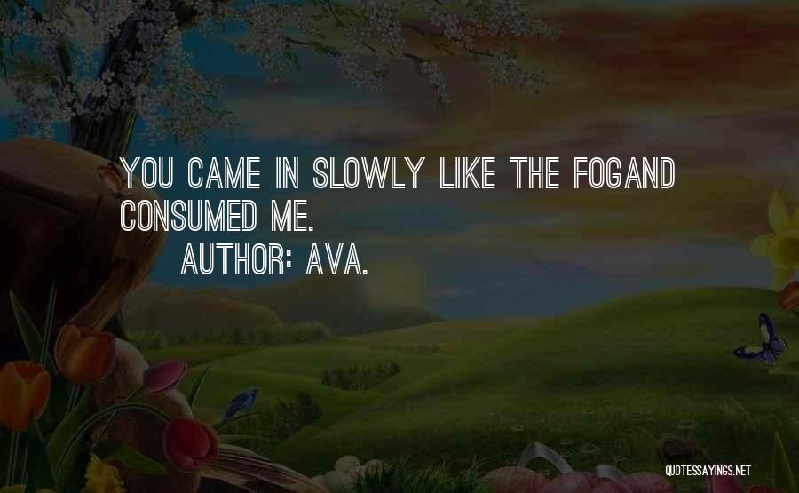 AVA. Quotes: You Came In Slowly Like The Fogand Consumed Me.