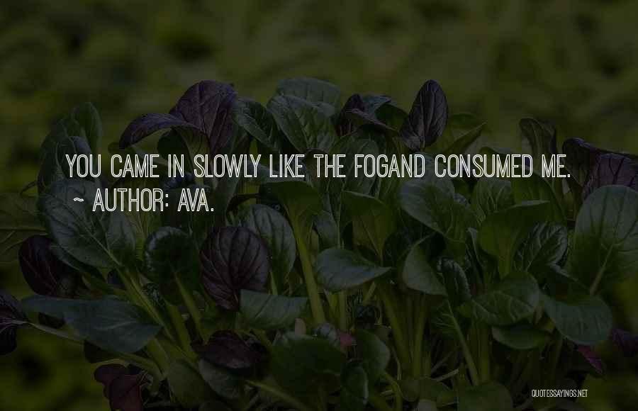 AVA. Quotes: You Came In Slowly Like The Fogand Consumed Me.