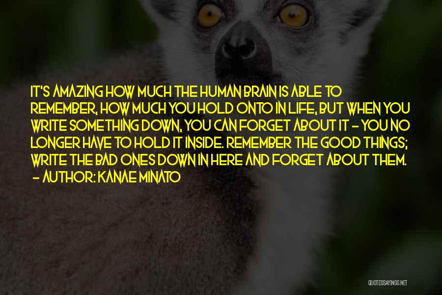 Kanae Minato Quotes: It's Amazing How Much The Human Brain Is Able To Remember, How Much You Hold Onto In Life, But When