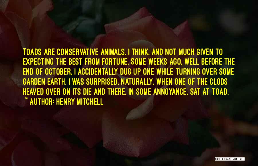 Henry Mitchell Quotes: Toads Are Conservative Animals, I Think, And Not Much Given To Expecting The Best From Fortune. Some Weeks Ago, Well