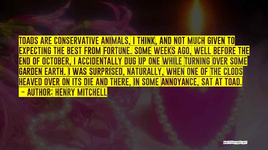Henry Mitchell Quotes: Toads Are Conservative Animals, I Think, And Not Much Given To Expecting The Best From Fortune. Some Weeks Ago, Well