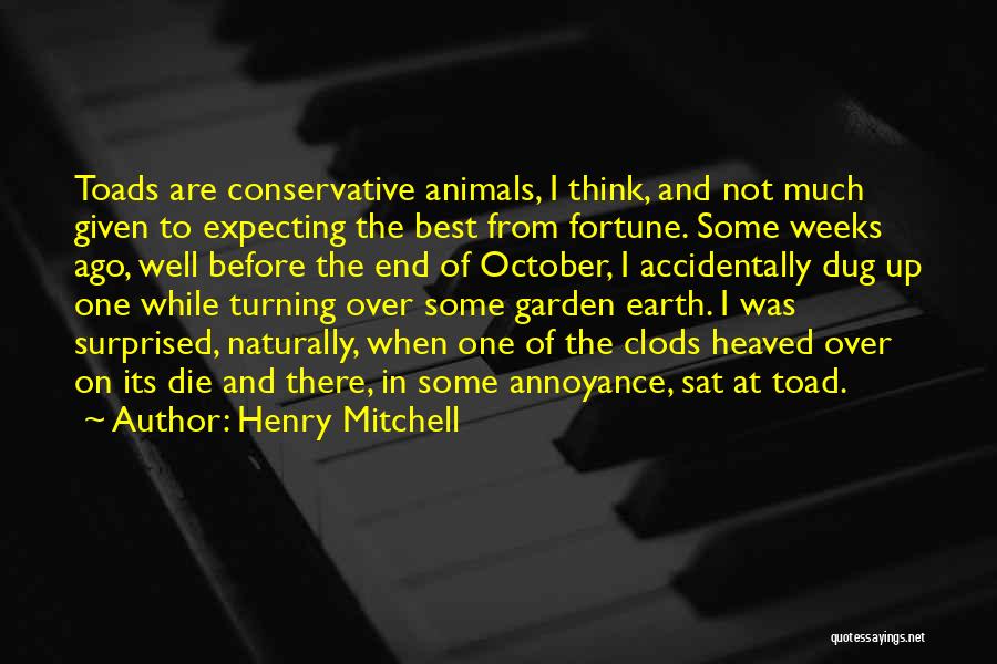 Henry Mitchell Quotes: Toads Are Conservative Animals, I Think, And Not Much Given To Expecting The Best From Fortune. Some Weeks Ago, Well