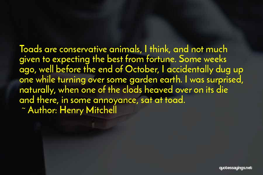 Henry Mitchell Quotes: Toads Are Conservative Animals, I Think, And Not Much Given To Expecting The Best From Fortune. Some Weeks Ago, Well