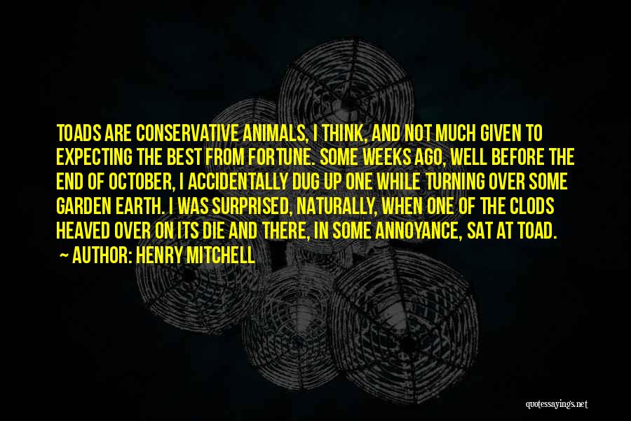 Henry Mitchell Quotes: Toads Are Conservative Animals, I Think, And Not Much Given To Expecting The Best From Fortune. Some Weeks Ago, Well