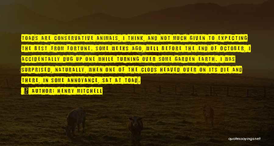 Henry Mitchell Quotes: Toads Are Conservative Animals, I Think, And Not Much Given To Expecting The Best From Fortune. Some Weeks Ago, Well