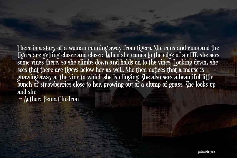 Pema Chodron Quotes: There Is A Story Of A Woman Running Away From Tigers. She Runs And Runs And The Tigers Are Getting