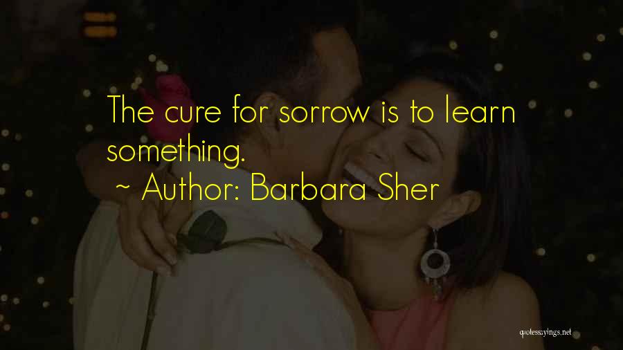 Barbara Sher Quotes: The Cure For Sorrow Is To Learn Something.