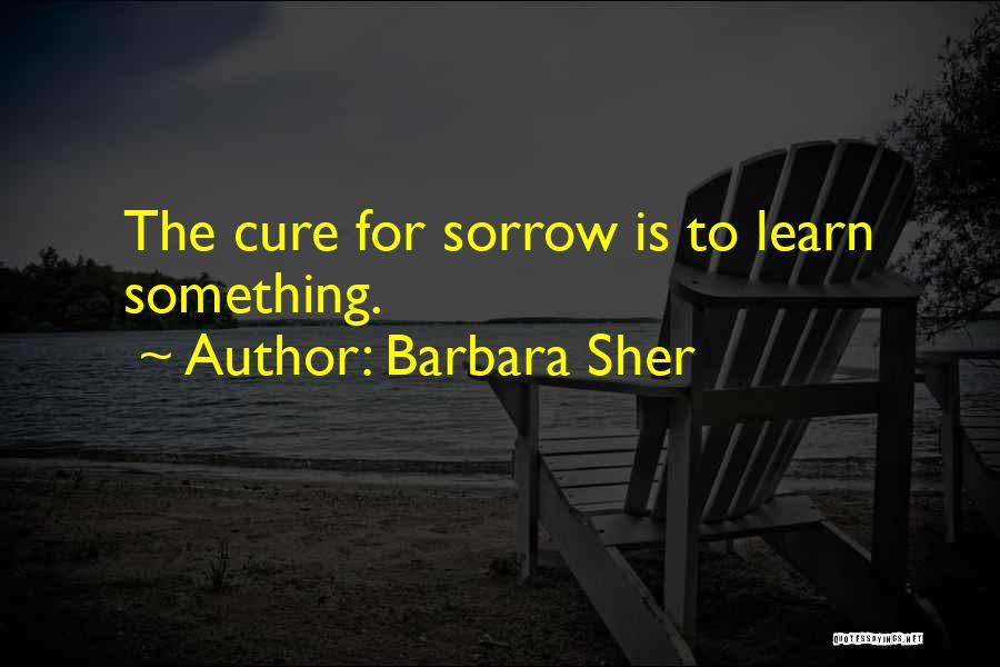 Barbara Sher Quotes: The Cure For Sorrow Is To Learn Something.