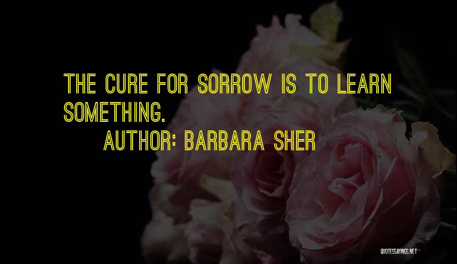 Barbara Sher Quotes: The Cure For Sorrow Is To Learn Something.