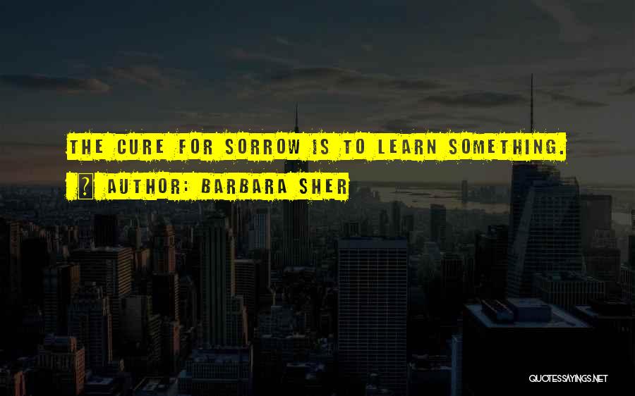 Barbara Sher Quotes: The Cure For Sorrow Is To Learn Something.