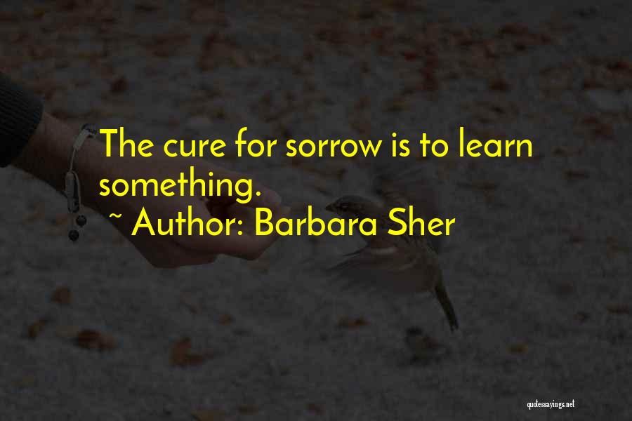 Barbara Sher Quotes: The Cure For Sorrow Is To Learn Something.