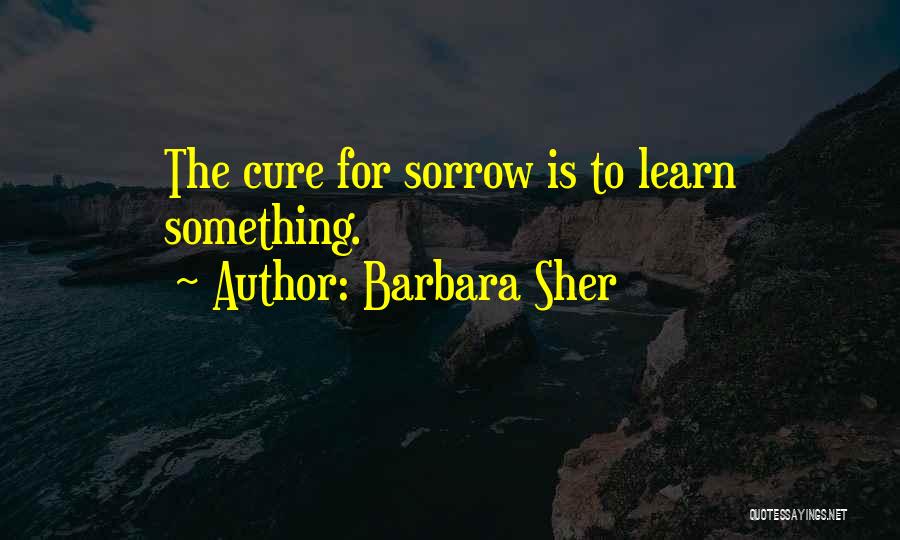 Barbara Sher Quotes: The Cure For Sorrow Is To Learn Something.