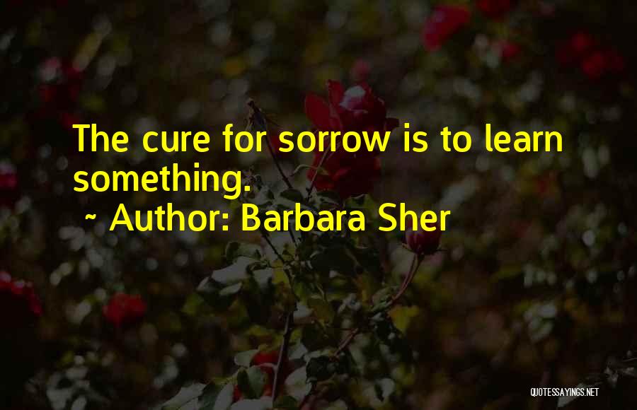 Barbara Sher Quotes: The Cure For Sorrow Is To Learn Something.