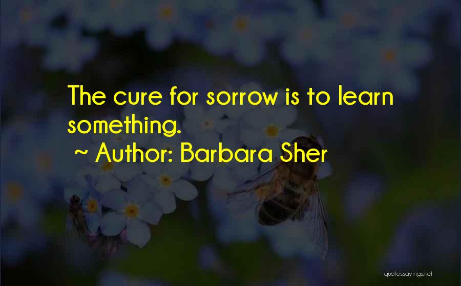 Barbara Sher Quotes: The Cure For Sorrow Is To Learn Something.