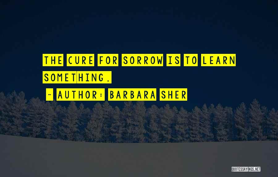 Barbara Sher Quotes: The Cure For Sorrow Is To Learn Something.