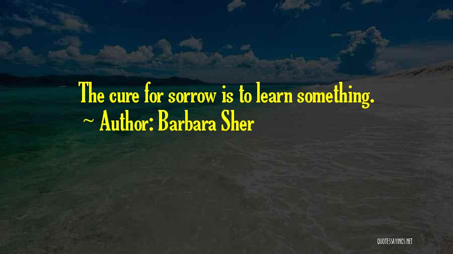 Barbara Sher Quotes: The Cure For Sorrow Is To Learn Something.