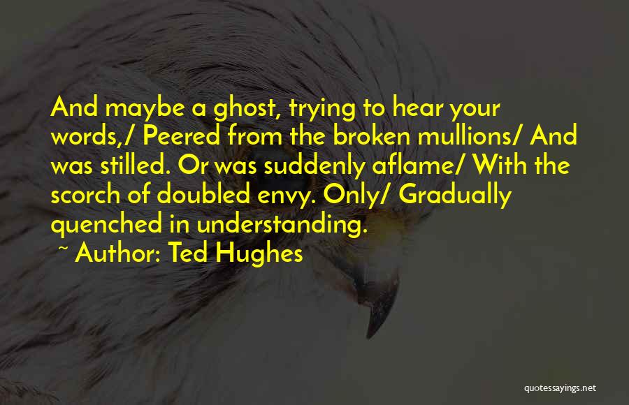 61 Birthday Quotes By Ted Hughes