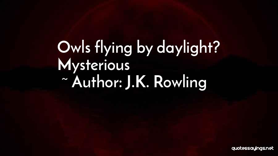 J.K. Rowling Quotes: Owls Flying By Daylight? Mysterious