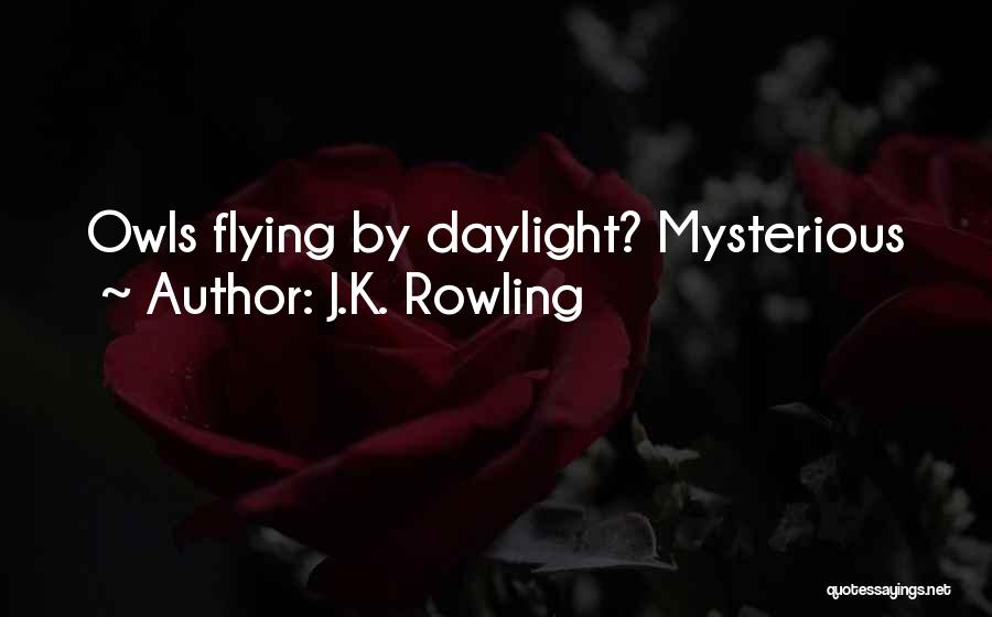 J.K. Rowling Quotes: Owls Flying By Daylight? Mysterious