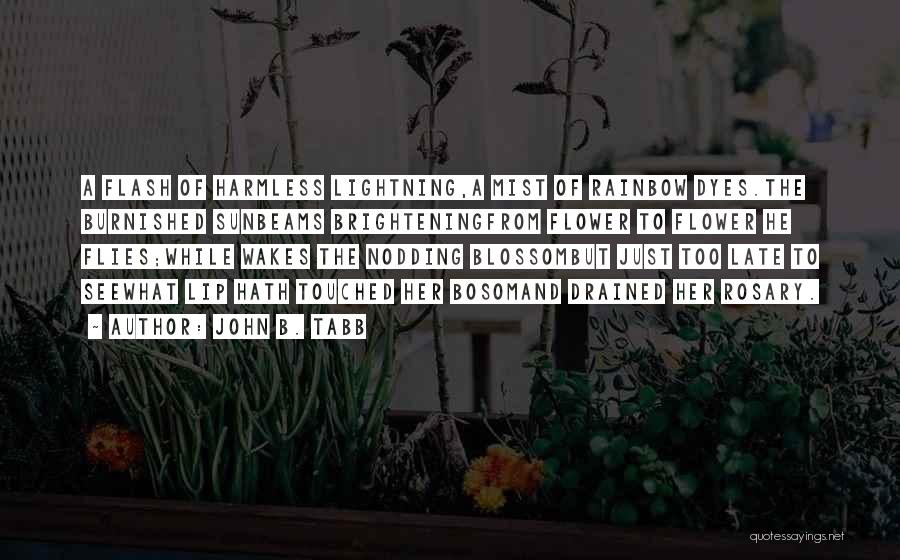 John B. Tabb Quotes: A Flash Of Harmless Lightning,a Mist Of Rainbow Dyes.the Burnished Sunbeams Brighteningfrom Flower To Flower He Flies;while Wakes The Nodding