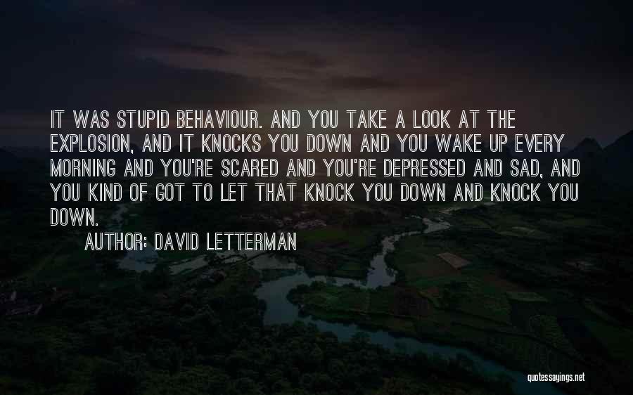 David Letterman Quotes: It Was Stupid Behaviour. And You Take A Look At The Explosion, And It Knocks You Down And You Wake