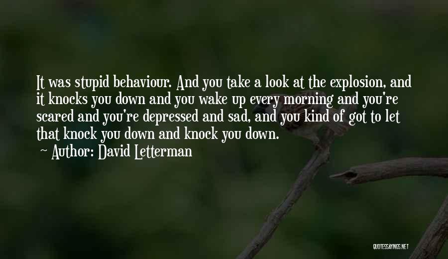 David Letterman Quotes: It Was Stupid Behaviour. And You Take A Look At The Explosion, And It Knocks You Down And You Wake