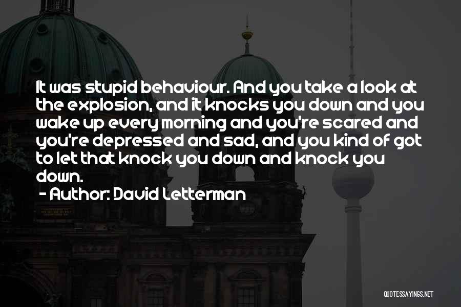 David Letterman Quotes: It Was Stupid Behaviour. And You Take A Look At The Explosion, And It Knocks You Down And You Wake