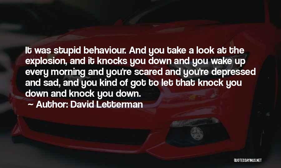 David Letterman Quotes: It Was Stupid Behaviour. And You Take A Look At The Explosion, And It Knocks You Down And You Wake