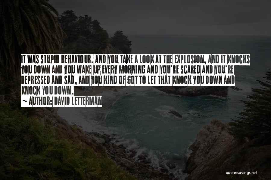 David Letterman Quotes: It Was Stupid Behaviour. And You Take A Look At The Explosion, And It Knocks You Down And You Wake