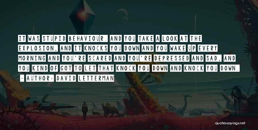 David Letterman Quotes: It Was Stupid Behaviour. And You Take A Look At The Explosion, And It Knocks You Down And You Wake